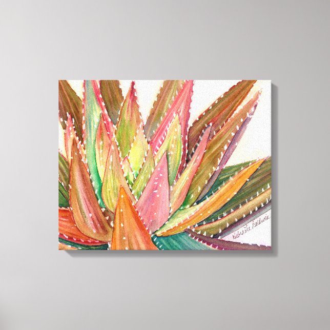 Aloe nobilis watercolor by Debra Lee Baldwin Canvas Print (Front)