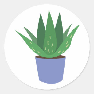 Aloe Plant Classic Round Sticker