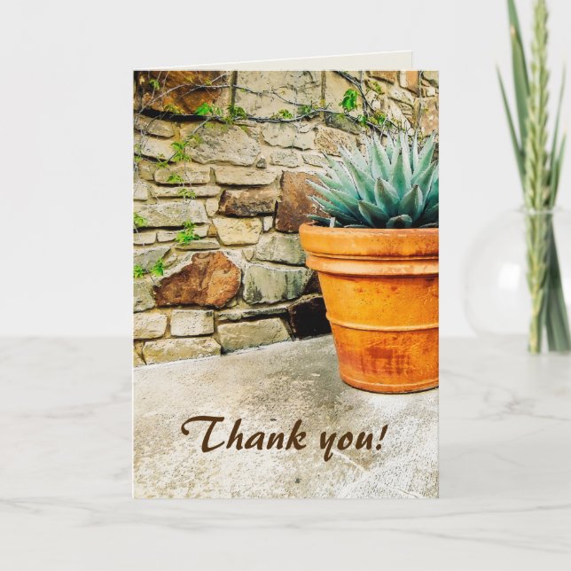 Aloe Plant Thank You for Your Caretaking Card (Front)