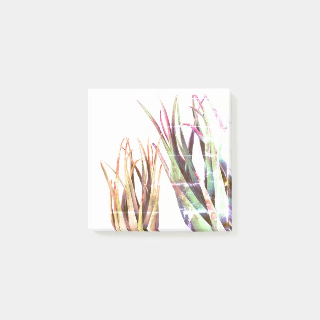 ALoe Vera, Art Notes (Front)