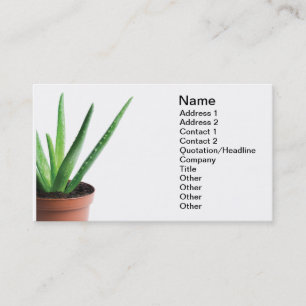 Aloe Vera Business Card
