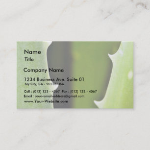 Aloe Vera Business Card