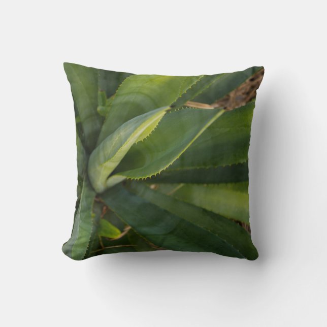 Aloe Vera Cushion (Front)