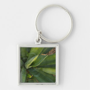 Aloe Vera Key Ring