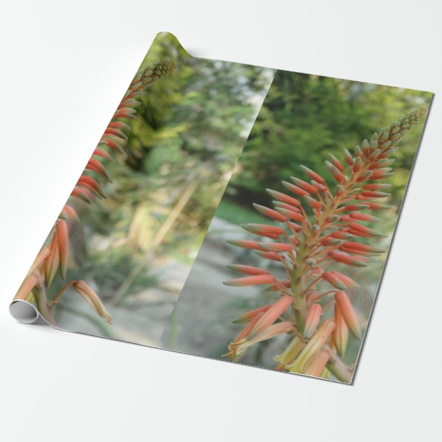 Aloe Vera Photo Linen Wrapping Paper, 30 in x 6 ft Wrapping Paper (Unrolled)