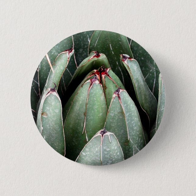 Aloe Vera Photo Plant Lover Round Badge (Front)