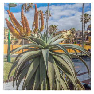 Aloe Vera plant ceramic tile
