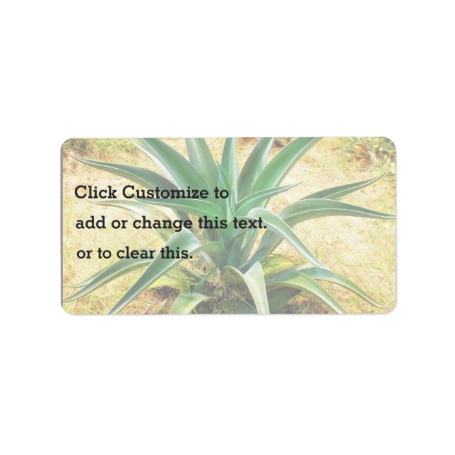 Aloe Vera Plant Label (Front)