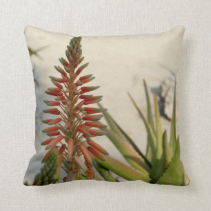 Aloe Vera Plant Photo Throw Cushion 41 cm x 41 cm