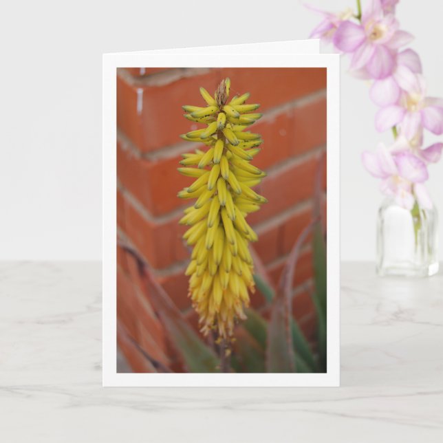 Aloe Vera Plant with Flower Head Card (Orchid)