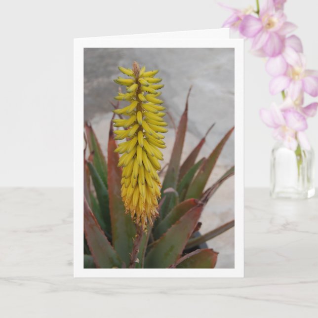 Aloe Vera Plant with Flower Head Card (Orchid)