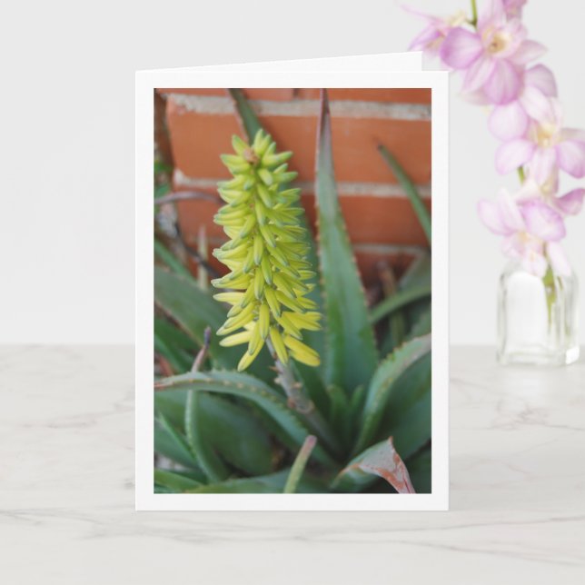 Aloe Vera Plant with Flower Head Card (Orchid)