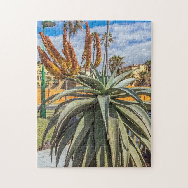 Aloe Vera puzzle (Vertical)