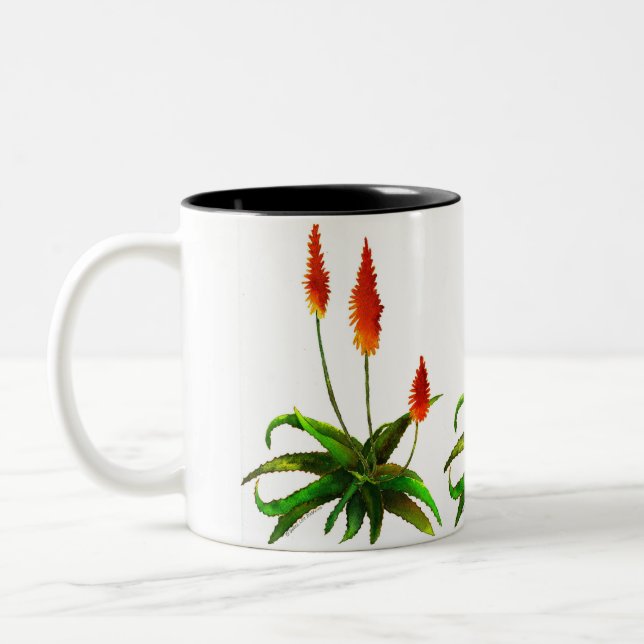 Aloe watercolor mug (Left)