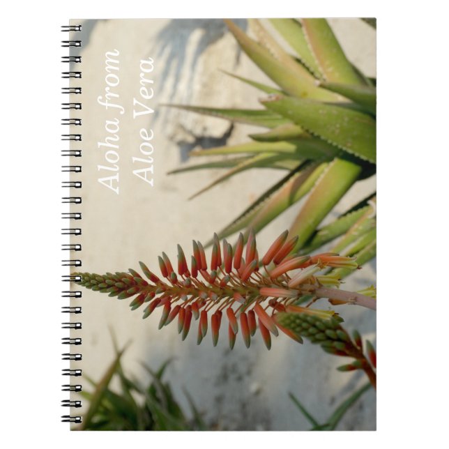 Aloha Aloe Vera Plant Photo Notebook (Front)