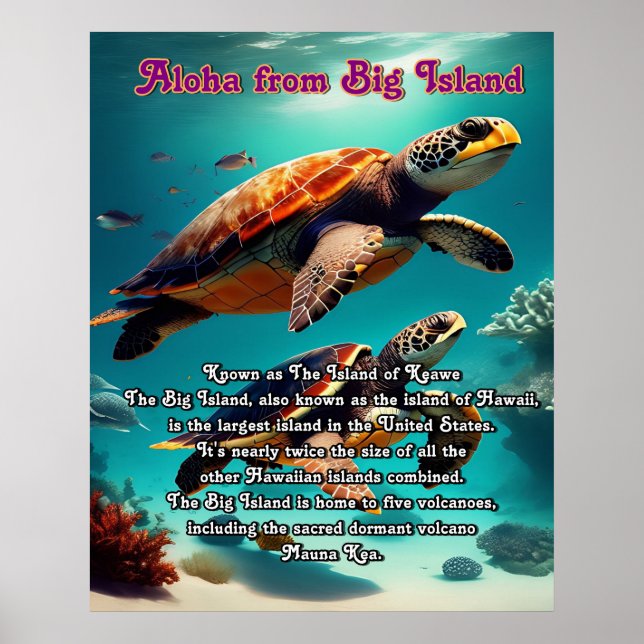 Aloha Big Island Hawaii Poster (Front)