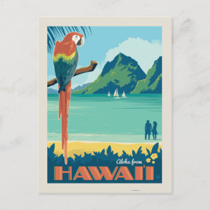 Aloha fom Hawaii   Parrot Postcard
