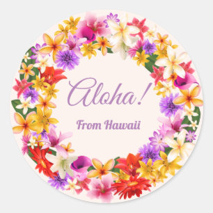 Aloha! From Hawaii Classic Round Sticker