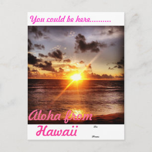 Aloha from Hawaii Postcard