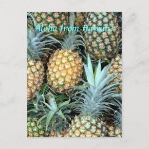 "Aloha from Hawaii" Postcard