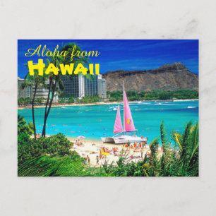 Aloha from Hawaii Postcard