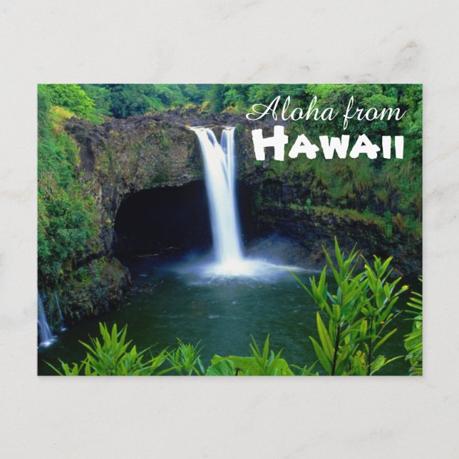 Aloha from Hawaii Postcard (Front)
