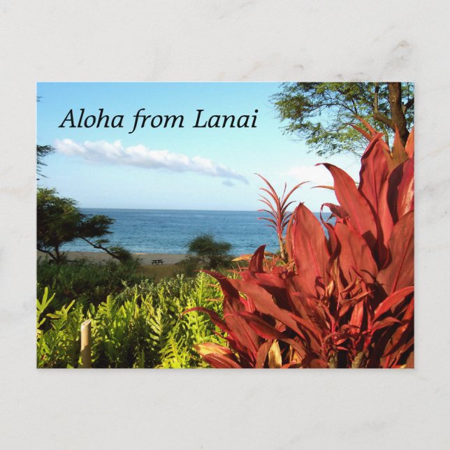 Aloha from Lanai Hawaii Postcard (Front)