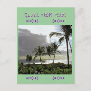 "ALOHA FROM MAUI"  Palm Trees  POST CARD