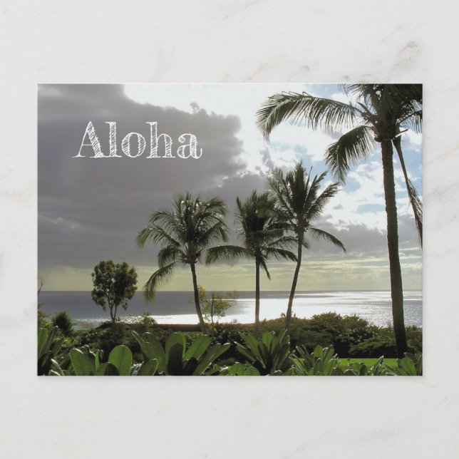 "ALOHA FROM MAUI" POSTCARD (Front)