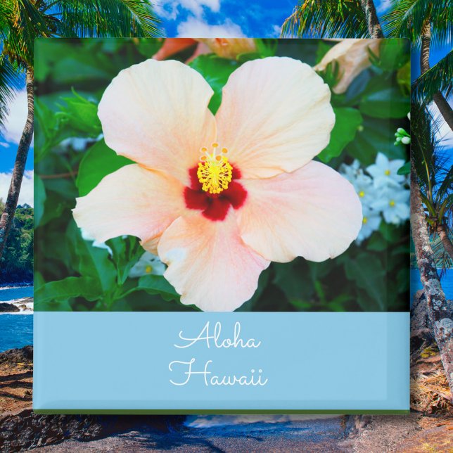 Aloha Hawaii Peach Color State Flower Hibiscus Magnet (Creator Uploaded)
