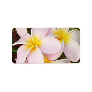 Aloha Hawaiian Frangipani Blossoms Bridal Shower Label