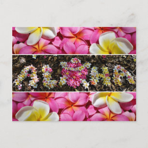 Aloha Honu Turtle Hawaii Plumeria Flower Paradise Postcard