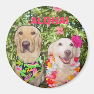 ALOHA! MAGNET