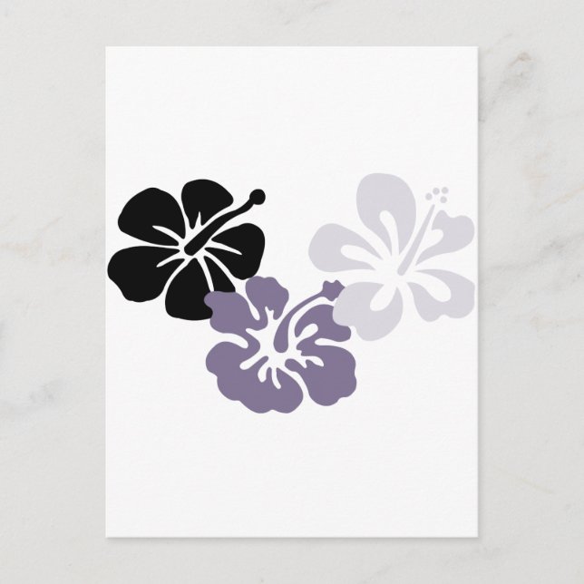 aloha mahalo grey hibiscus postcard (Front)