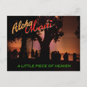 Aloha Maui Postcard