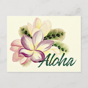 Aloha Plumeria Postcard