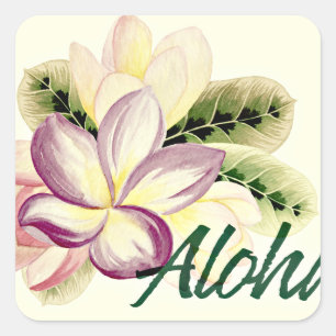Aloha Plumeria Square Sticker