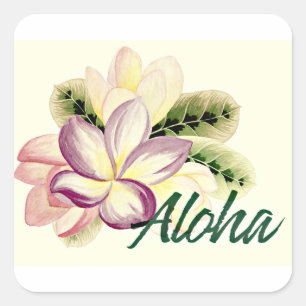 Aloha Plumeria Square Sticker