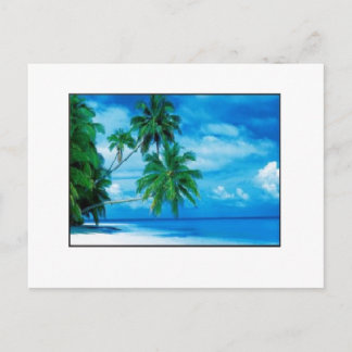 Aloha Postcard