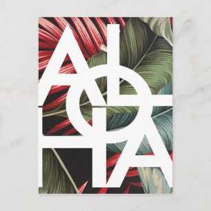 Aloha White Square Red Palm Postcard