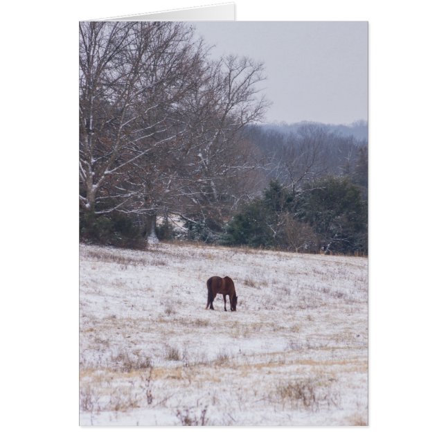 Alone In The Snow (Front)