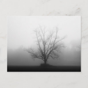 Alone Postcard