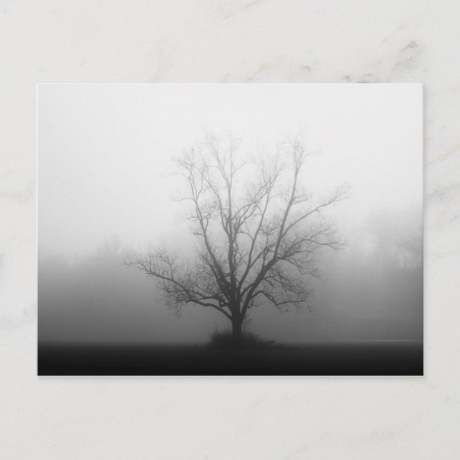 Alone Postcard (Front)