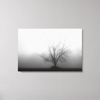 Alone - tree in morning fog Wrapped Canvas