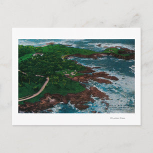 Along 17 Mile Drive on Monterey Peninsula Postcard