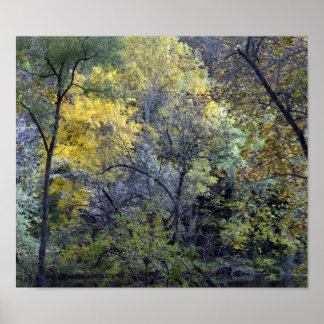 Along the Brandywine River  Poster