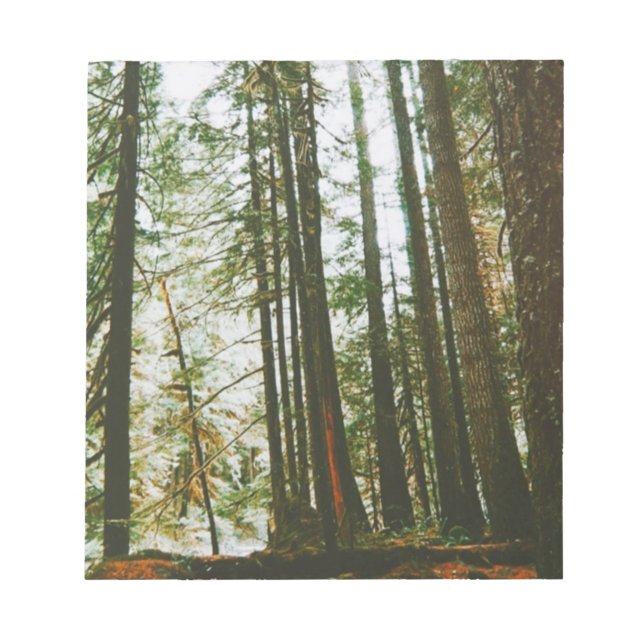 Along the McKenzie River  Notepad (Front)