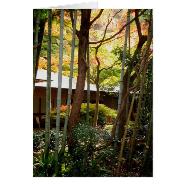 Along the Philosopher's Path (Front)