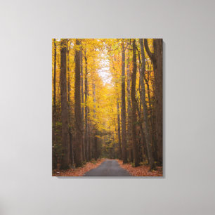 Along the Road Canvas Print