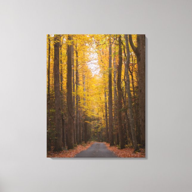 Along the Road Canvas Print (Front)